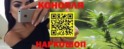 прущие грибы Краснодар