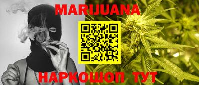 прущие грибы Краснодар